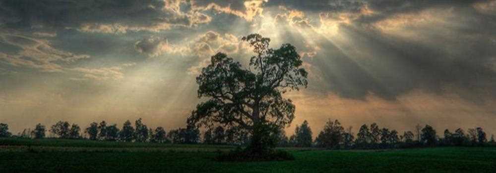 banner image of Anonto khan