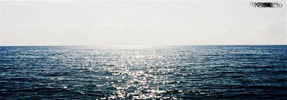 banner image of Jerry Shaw