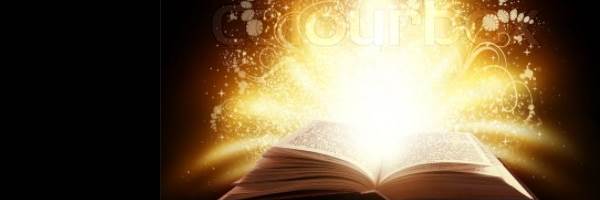 banner image of Mc Zilla