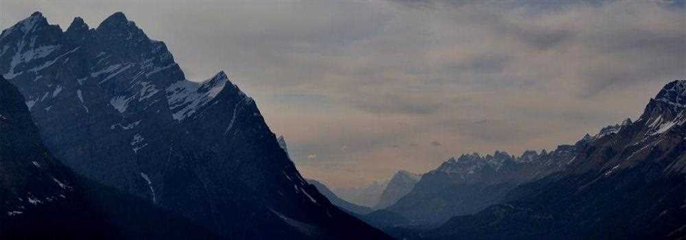 banner image of Anshi gupta