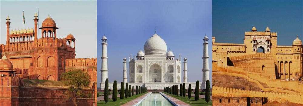 banner image of Stephen Martin