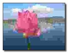 banner image of Lisa Cresswell