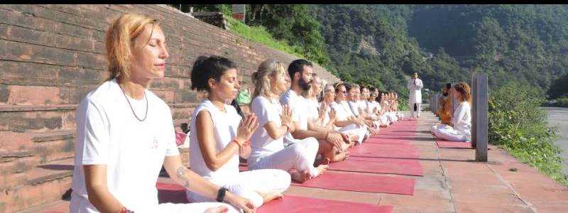 banner image of himalayan yoga