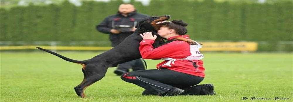 banner image of Leoiuer Menhteyrs