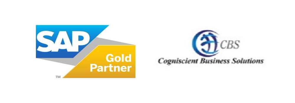 banner image of Cogniscient Business Solutions 