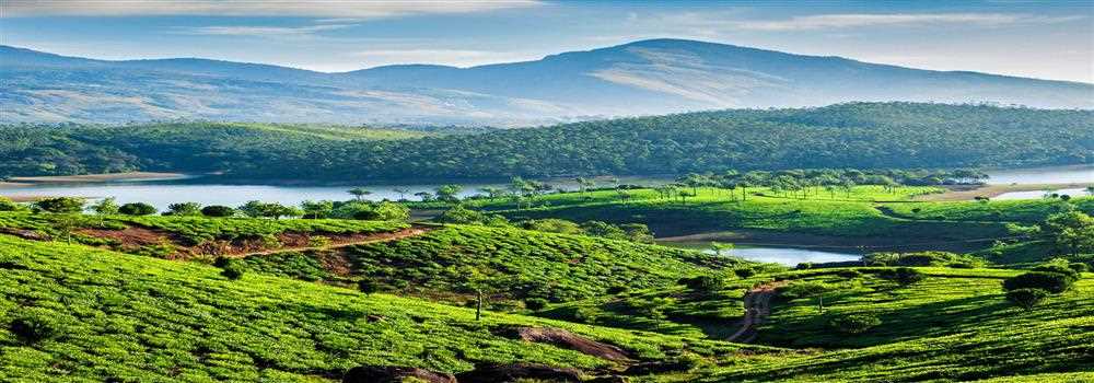 banner image of Seasonz India Holidays hello chalo hospitality pvt ltd