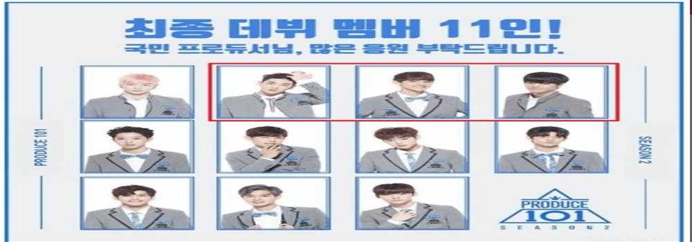 banner image of pumba lion