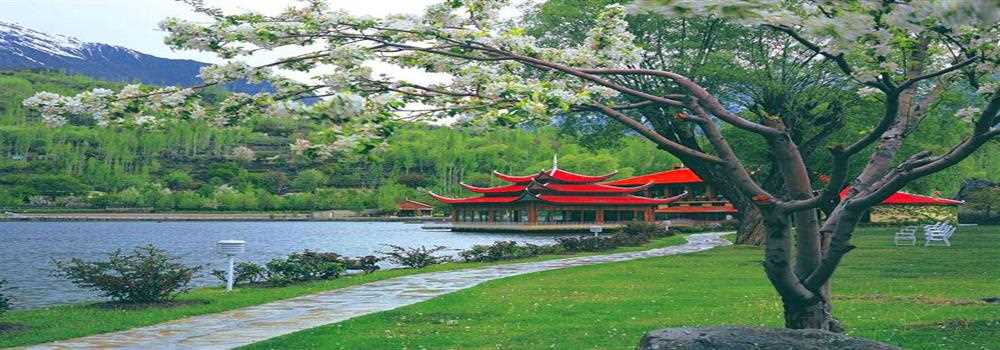 banner image of Marry Henson