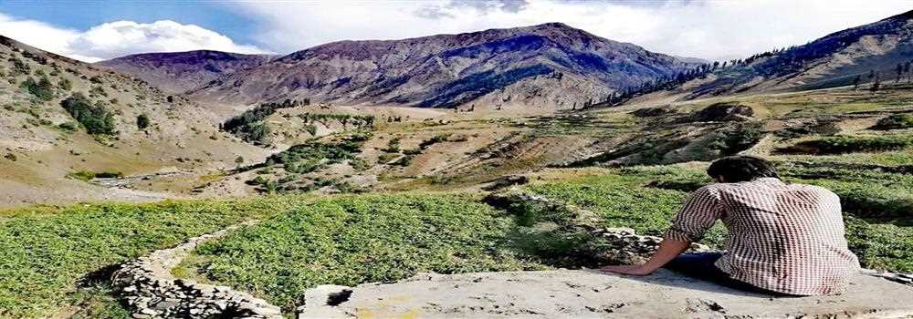 banner image of Mubeen Jutt