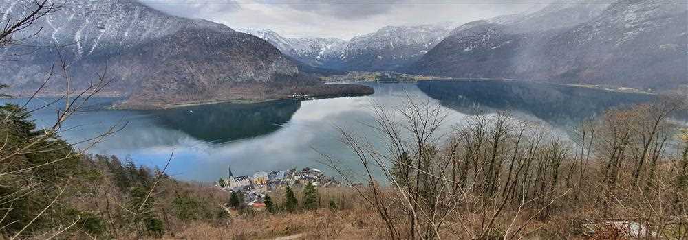 banner image of Valentina Johnson