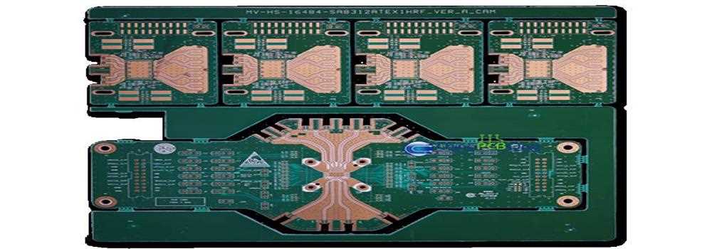 banner image of sophie belmore