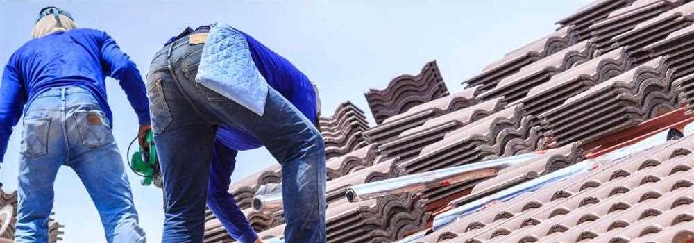 banner image of Steve Dye