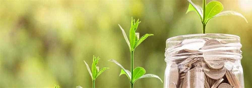 banner image of Jennifer Williams