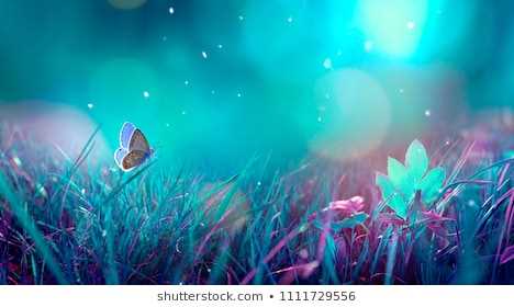 banner image of roshni kumar