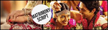 banner image of Matrimony Script Software Development Company 