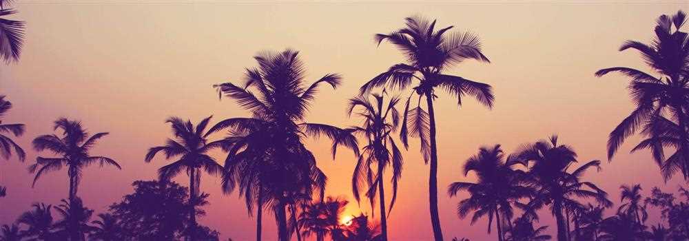 banner image of Rishabh Bansal