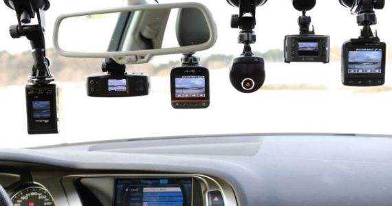 banner image of Shirley Frawley