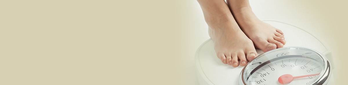 banner image of Nutri Bolism