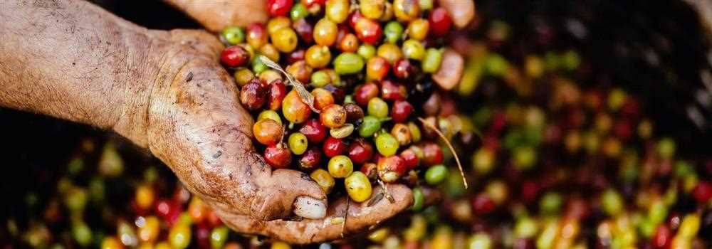 banner image of Krutino Coffee