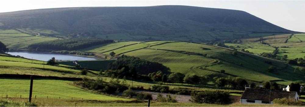 banner image of Avdey Tesla