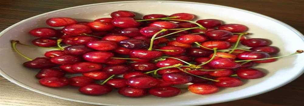 banner image of Pia Thomas