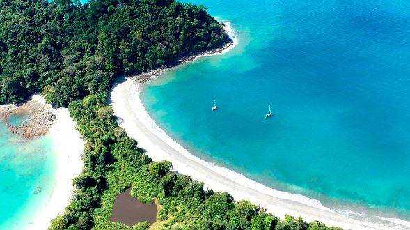 banner image of Silvia Anderson