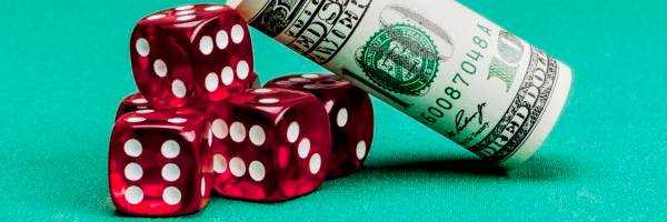 banner image of David Wingle