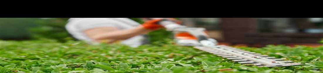 banner image of Genie Mowing Mowing