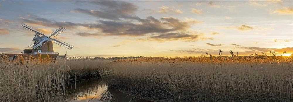 banner image of Lana Smith