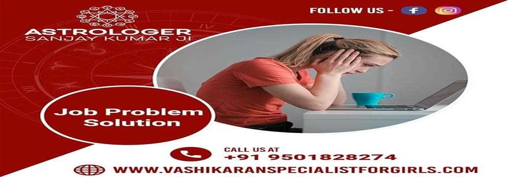 banner image of Sanjay Kumar