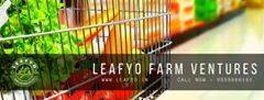 banner image of Leafyo Farm