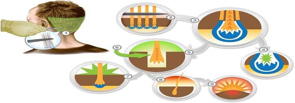 banner image of Huda Khan