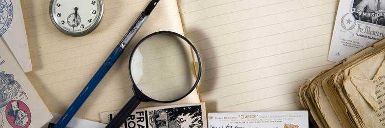 banner image of Renata Wilson