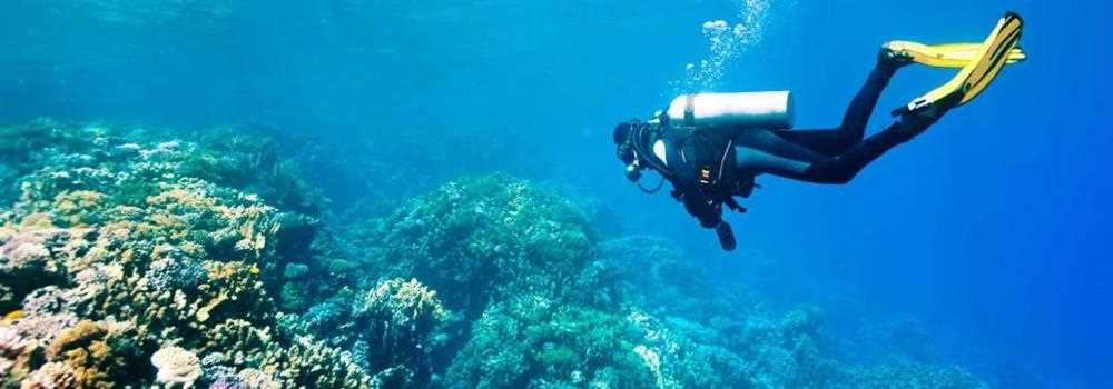 banner image of Ocean Enterprises oceanenterprises