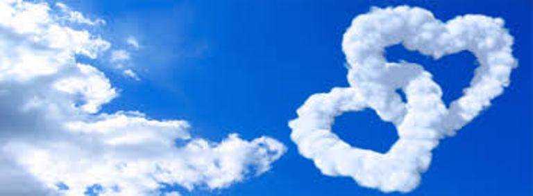 banner image of Shweta Patil