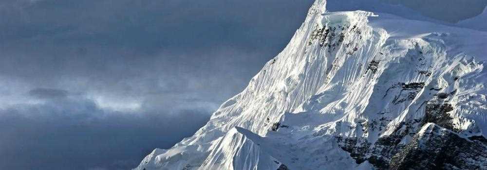 banner image of Yuly Knowles