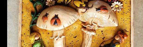 banner image of Shrooms Wholesale