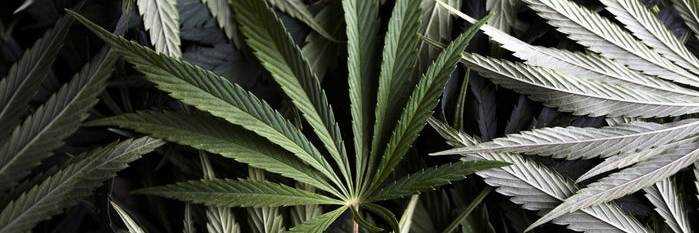 banner image of Gerald Reynell 23-Jun-1998