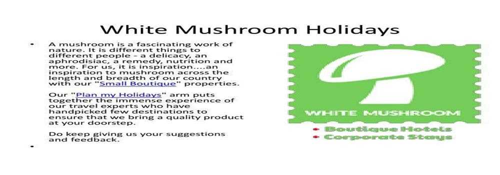 banner image of White Mushroom Holidays Pvt Ltd White Mushroom Holidays Pvt Ltd