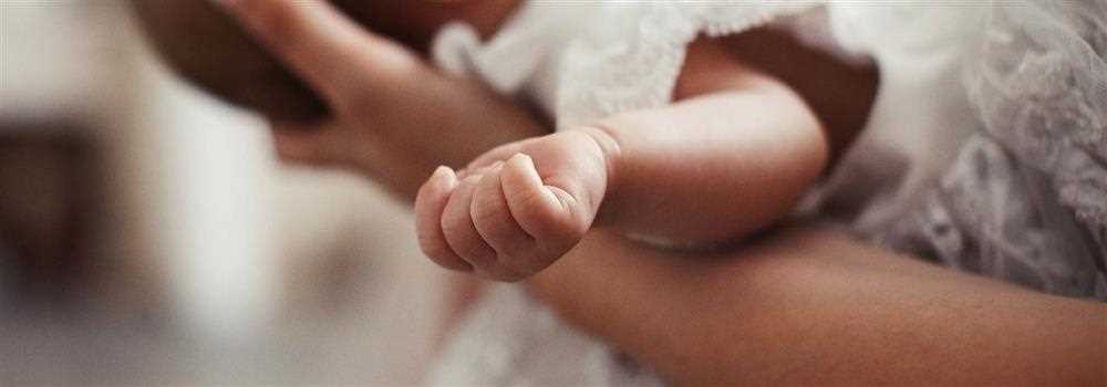 banner image of Clancy Berry