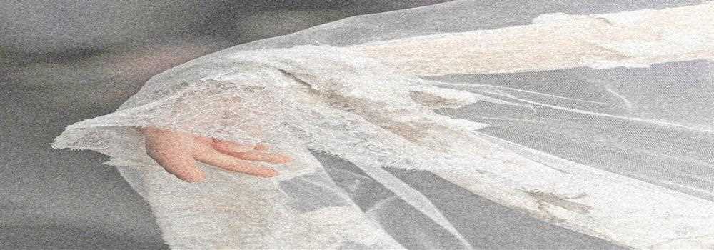 banner image of Polina Cheh