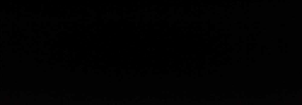 banner image of Sahil Pasha