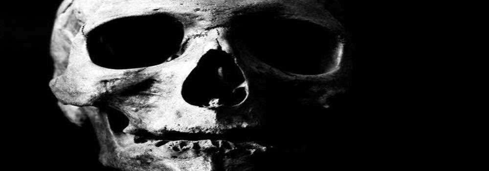 banner image of Lana Canister