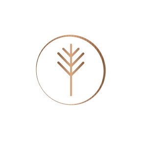 banner image of Quantum Recovery Services 