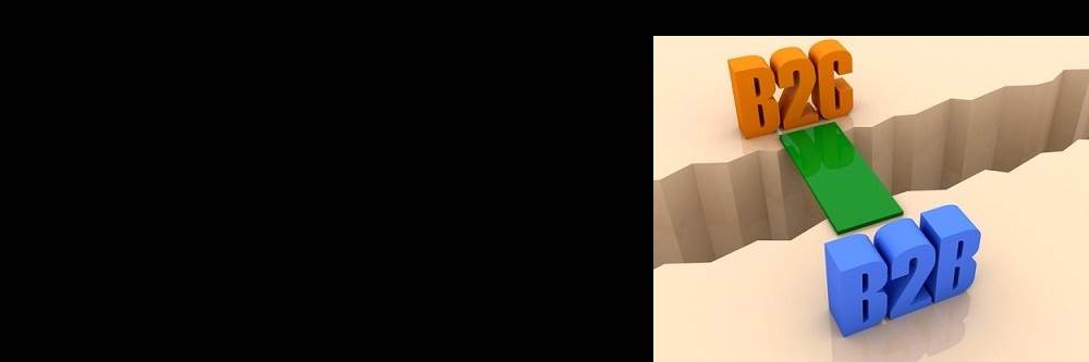 banner image of Rob Vela