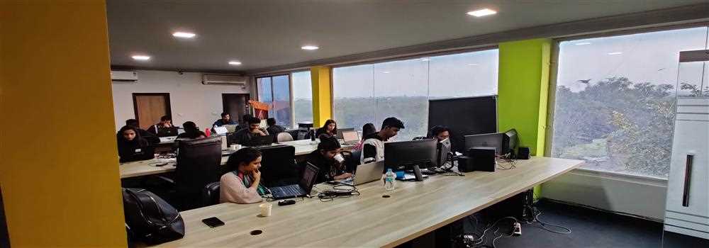 banner image of social eyes