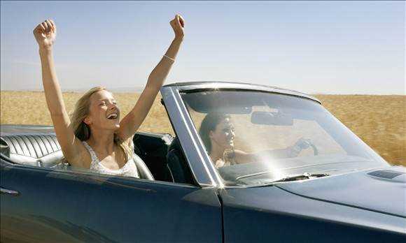 banner image of Car Renting Solution 