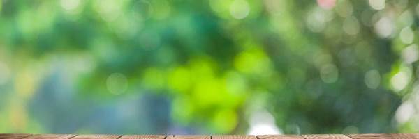 banner image of Robert Taylor