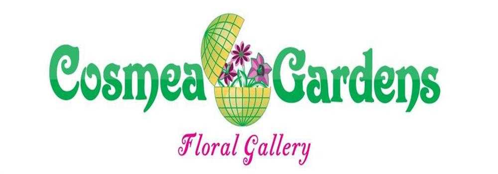 banner image of Cosmeagardens CosmeaGardens