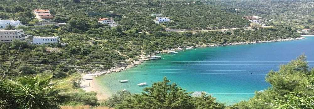 banner image of Felix Young